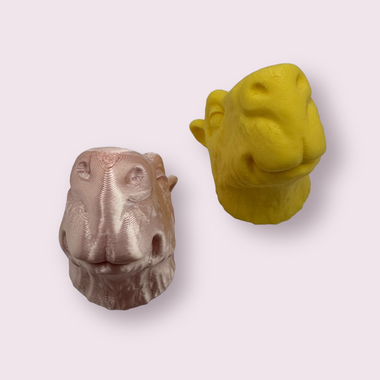 Animal Head Magnets