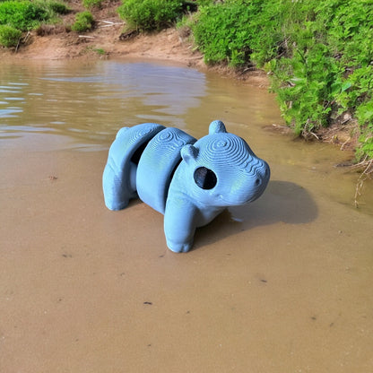 Baby Hippo